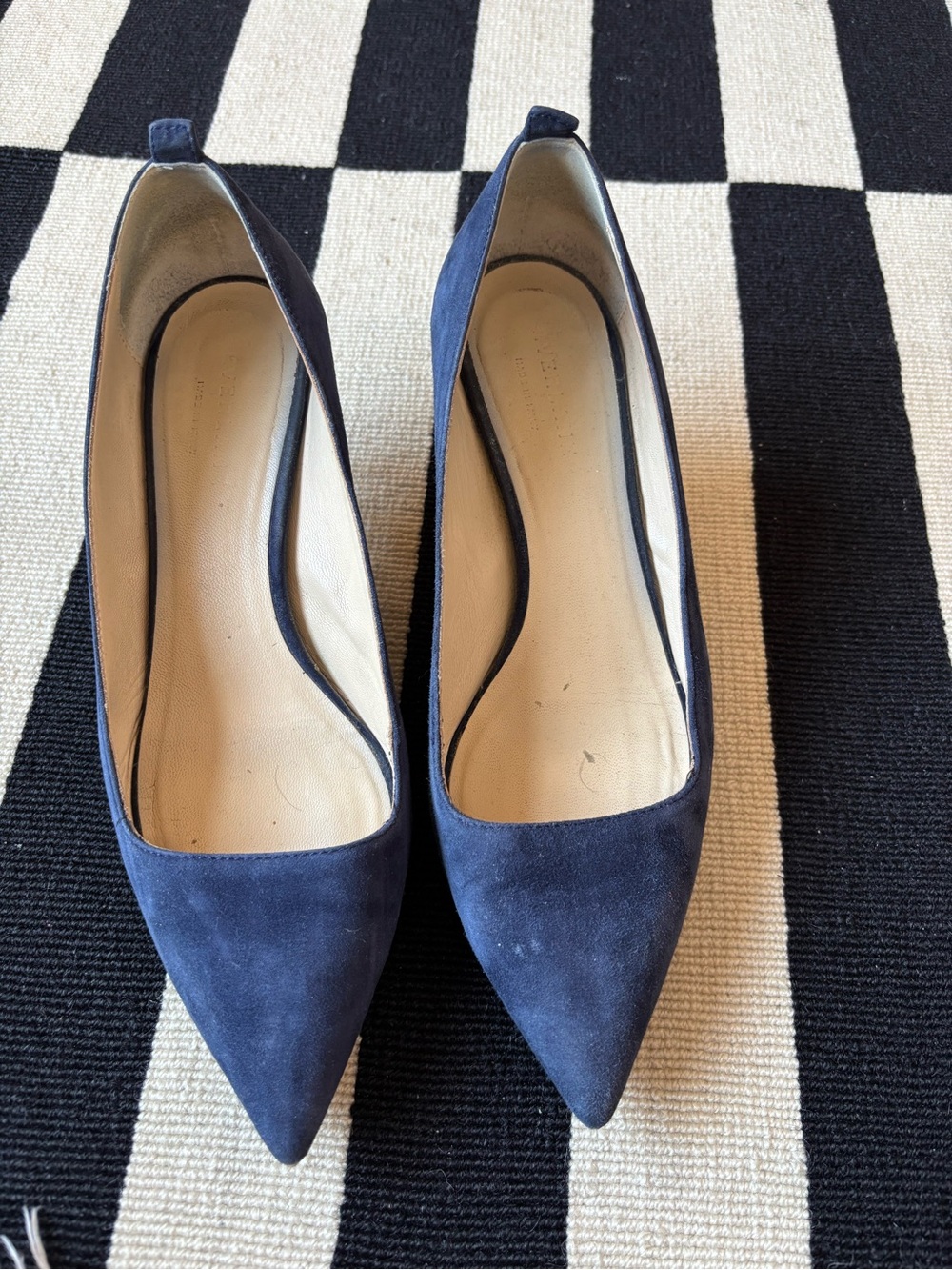 Everlane Women's Kitten Heel Pointed-Toe Suede Pumps in Navy Blue